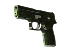 P250 | Iron Clad image